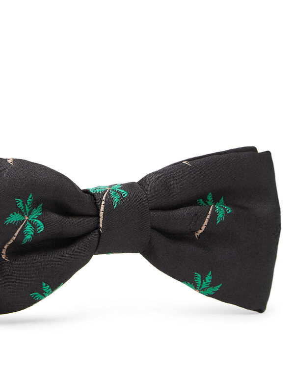 Bow Tie Palms